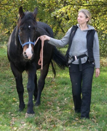 pdag_bild